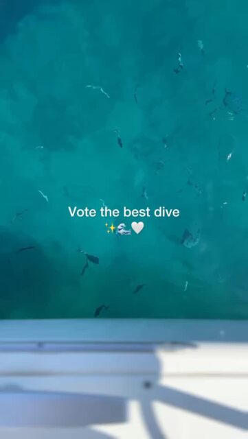It is time for a ‘pick your favorite dive’ recap! Which dive is your favorite? 💙

#dive #athens #greece #sailingathens #trendingreels