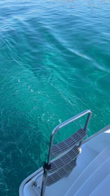 The countdown to this has begun! 🌊 T-minus 53 days to turquoise waters, sunshine, chill music, Greek food and wine and lots of fun on board! 

Check out all our cruise tour options online at —> www.sailingathens.com and pre-book the one that suits your itinerary the best.

See you soon! 

#sailingathens #summer2026 #prebooking #athens #greece