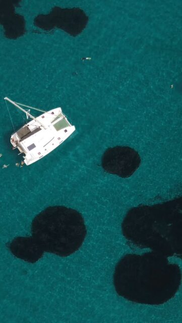 Summer planning? This is one of those “why didn’t we do this sooner?” kind of experiences you have to do while you are in Athens ✨
The city stays behind, the Riviera opens up, and suddenly the Aegean feels like it planned the day just for you.

You sail. You swim. You eat delicious traditional Greek foods. You forget what time it is!

What awaits you on board:
🔹 Complimentary hotel pickup & drop-off 
🔹 Intimate catamaran cruise with up to 10 guests
🔹 English-speaking, experienced crew
🔹 Freshly prepared Greek family-style meal & BBQ on board
🔹 Complimentary Greek wine, beer & soft drinks
🔹 Fresh towels
🔹 Snorkeling gear & floaties

If you’re looking for a luxury catamaran cruise in Athens, this is it.
Book your experience at www.sailingathens.com

#athenscruise #athenianriviera #luxuryathens #sailinggreece catamaranexperience