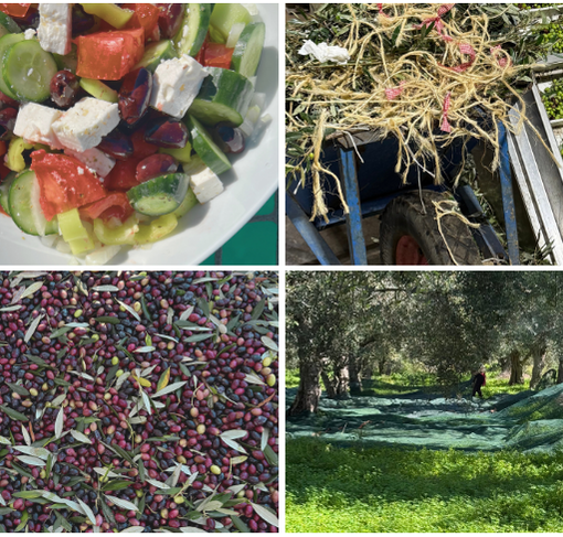 Sailing Athens luxury catamaran experiences in Greece. Food tours on the sea in Athens